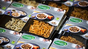Insekten essen Insekten essen