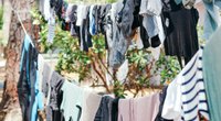 Taschentuch mitgewaschen: So wird die Wäsche wieder fusselfrei