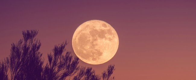 Für 4 Tierkreiszeichen wird der Erdbeermond am 22. Juni zum Traumerfüller