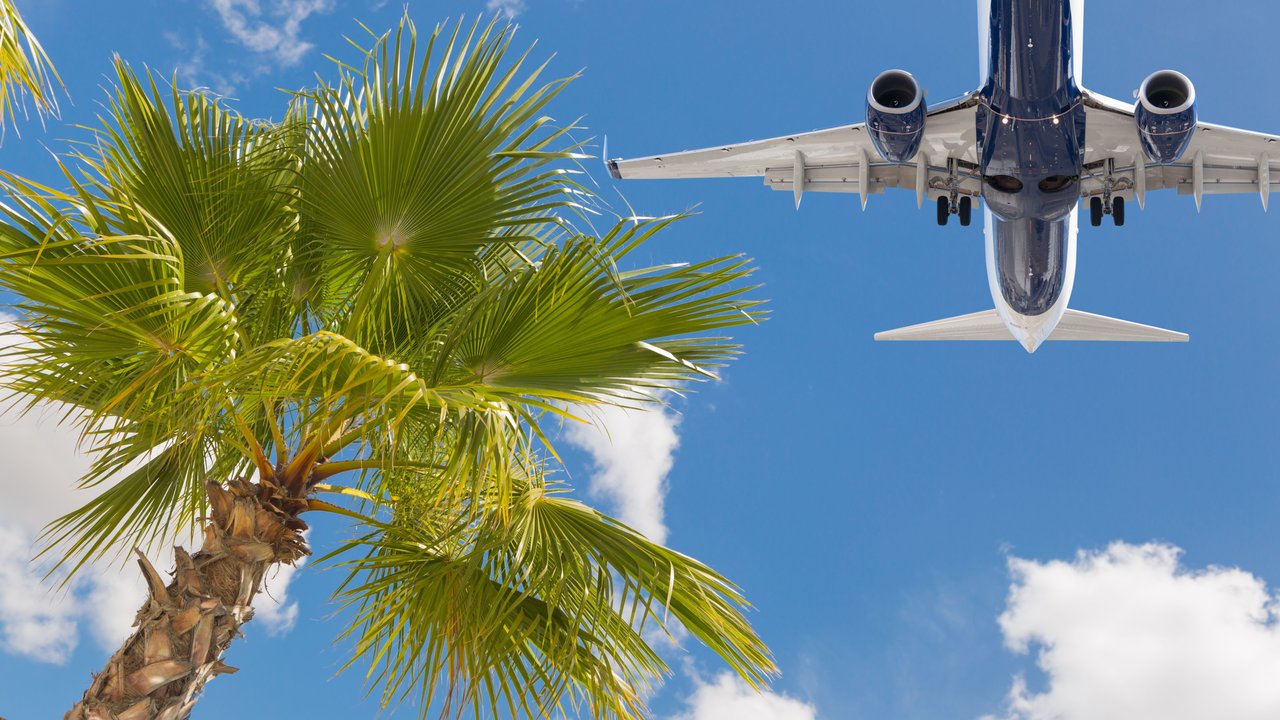 Bottom View of Passenger Airplane Flying Over Tropical Palm Trees.