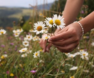 Persönlichkeitstest: Welche Blume beschreibt dein Liebesleben am besten? Die Antwort überrascht dich!