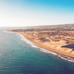 Tödlicher Haiangriff vor Gran Canaria! Das sollten Urlauber wissen