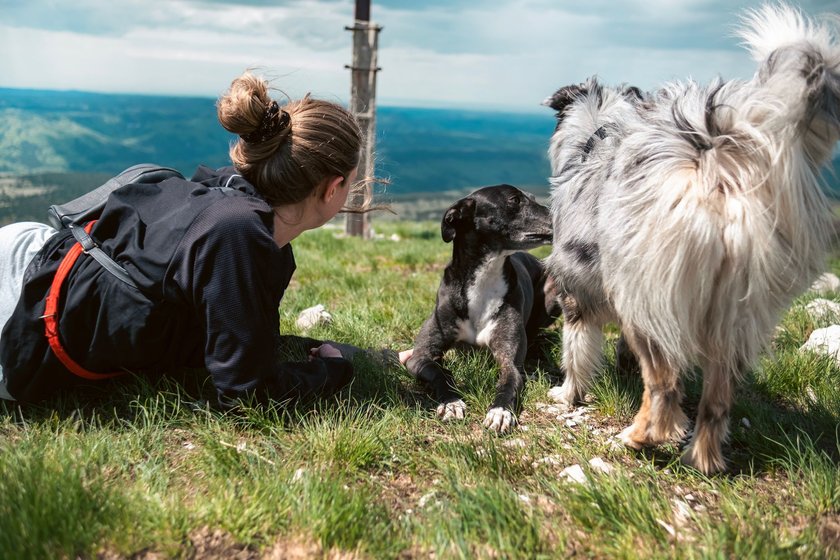 After finally reaching the top of a hill, woman sits down to admire the nature and play with her dogs