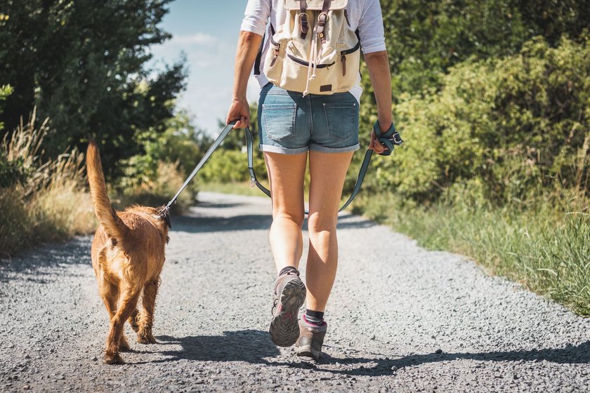 Female tourist with backpack and mixed breed dog outdoors at summer