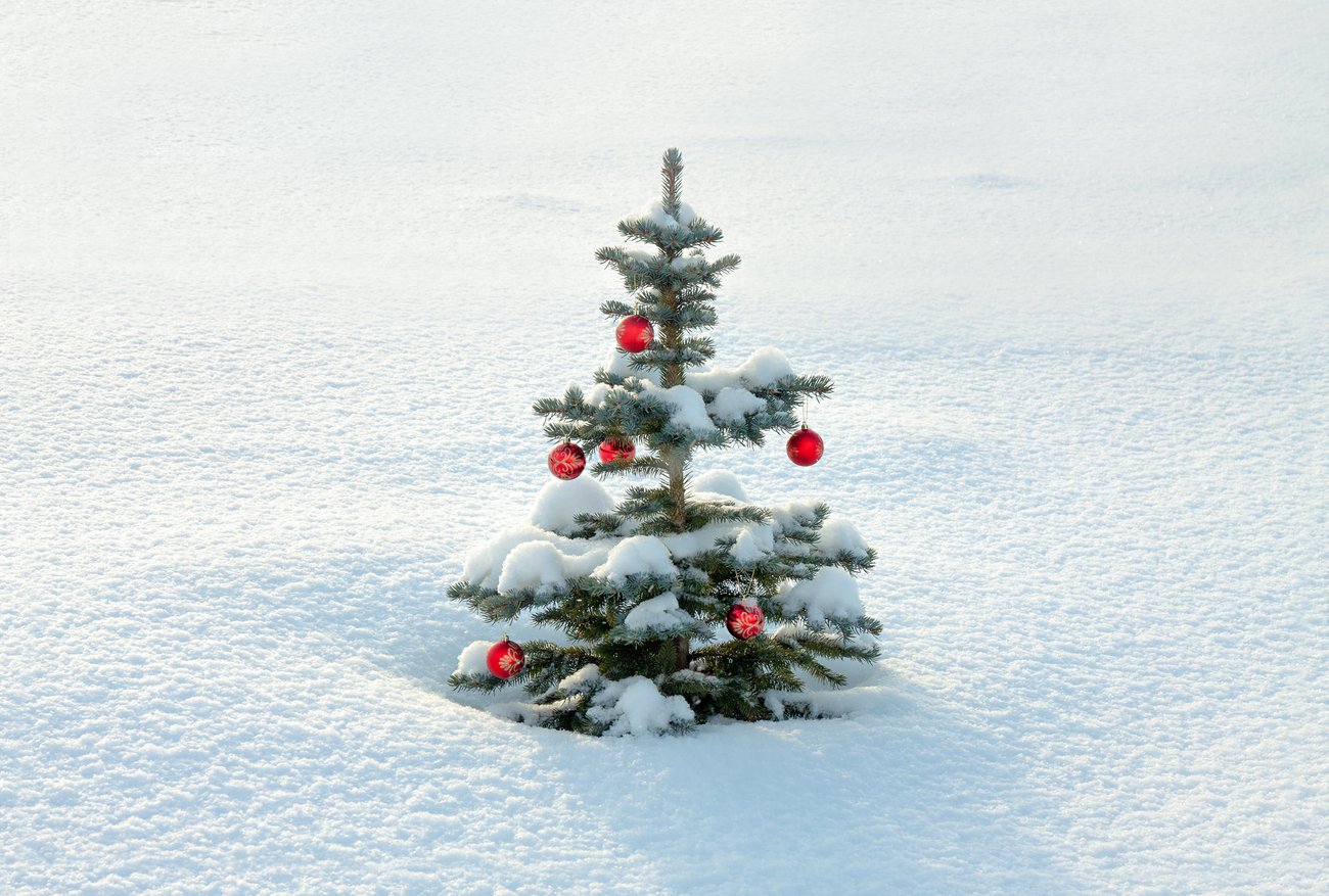Wird es dieses Jahr Weihnachten schneien?