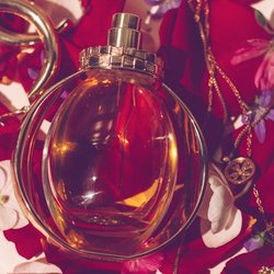 Parfum-Neuheiten 2024: Diese 5 Düfte stehen jetzt auf unserer Wishlist 