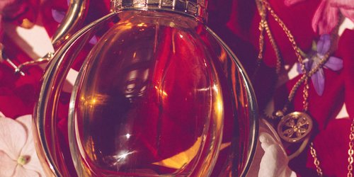 Neue Parfums 2024: Diese 5 unwiderstehlichen Düfte stehen jetzt auf unserer Wishlist 