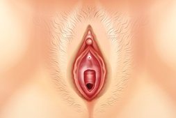 Gespreizt vagina Geile rosa
