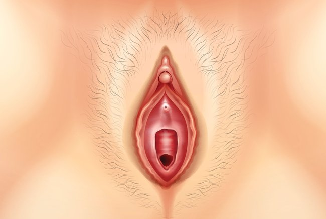 Vagina-Skizze