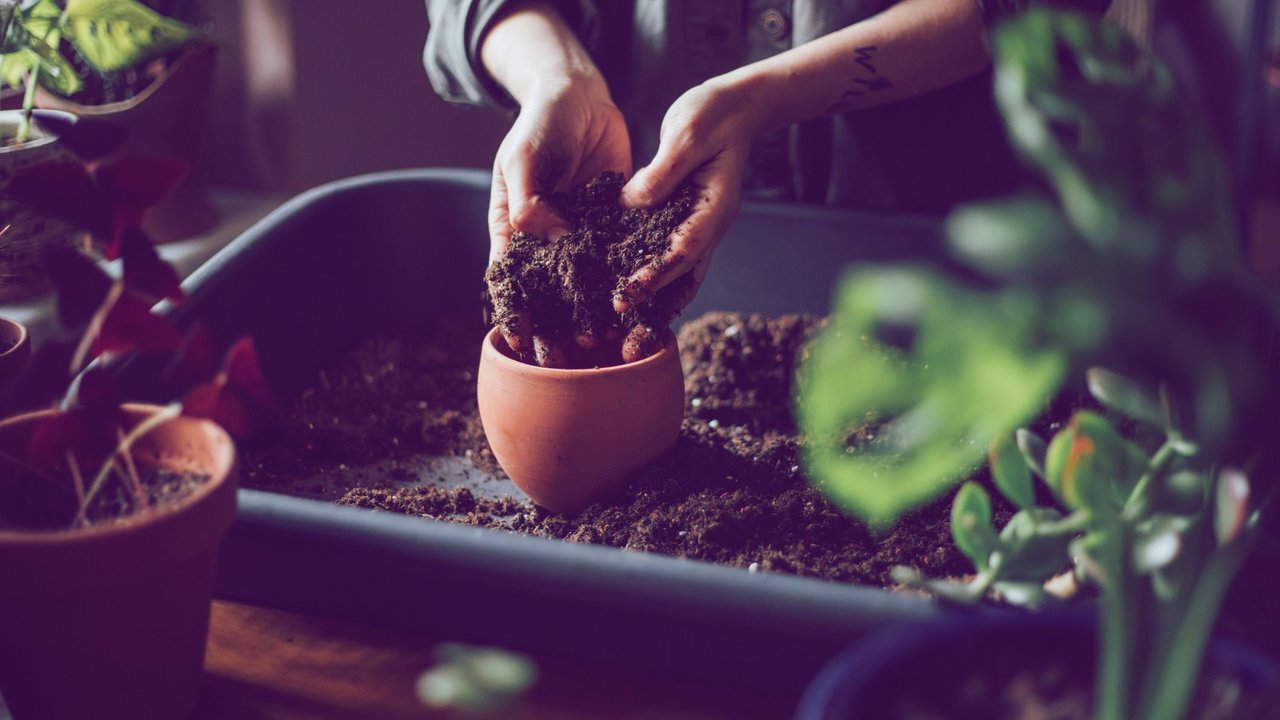 BLumenerde Stiftung Warentest