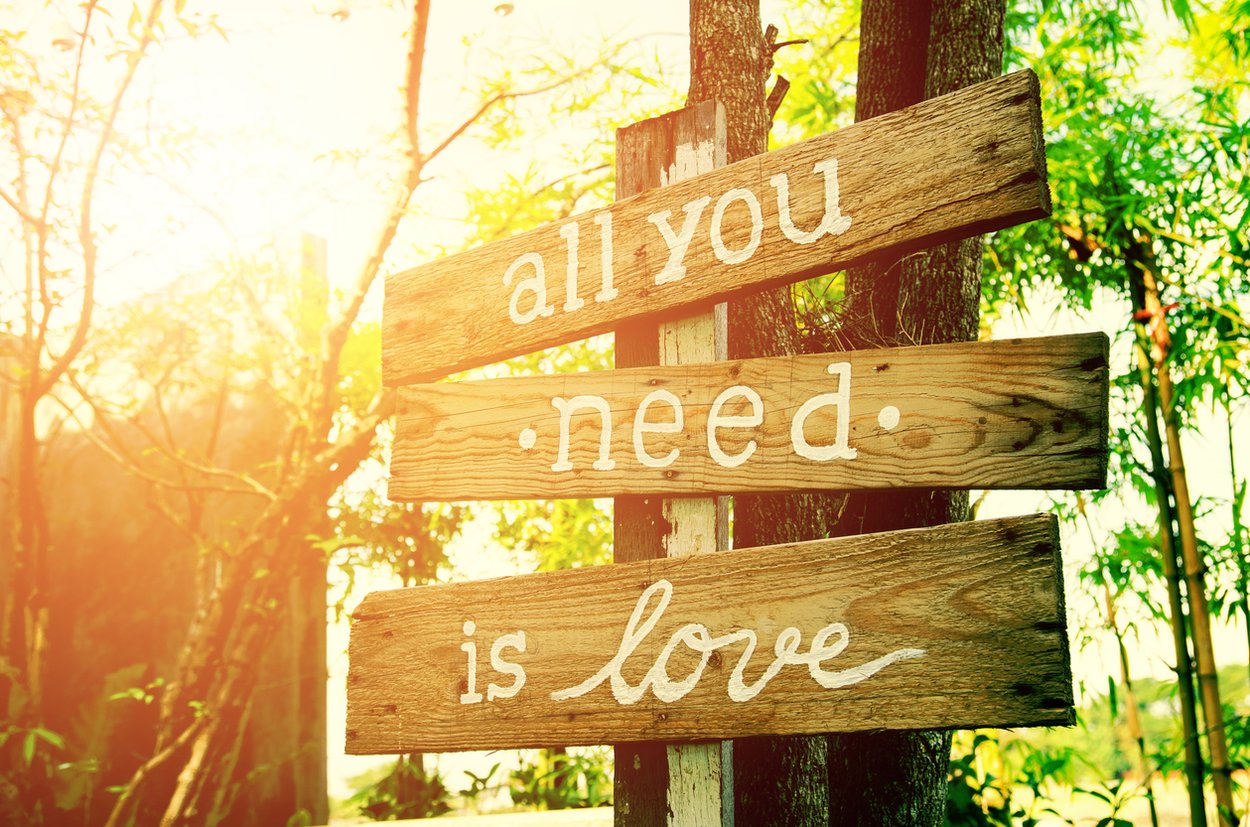 All you need is love All you need is love