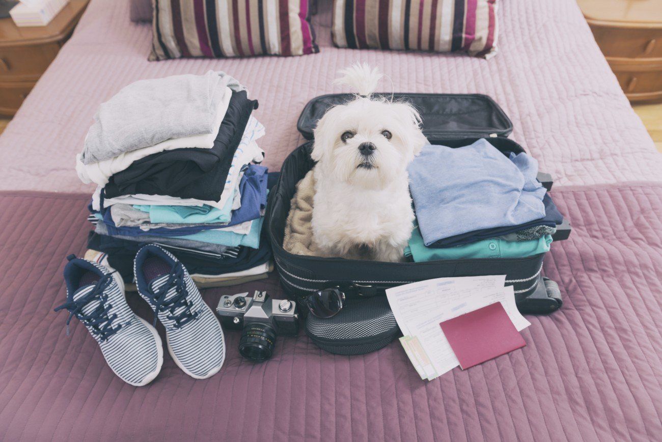 Urlaubs-Hacks Urlaubs-Hacks