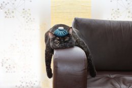 Anti-Kater-Tipps Anti-Kater-Tipps