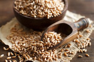 ist Vollkornbrot gesund? ist Vollkornbrot gesund?