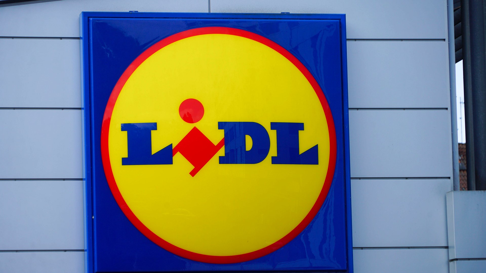 Must-have-f-rs-Festival-Diese-coolen-Badepantoletten-von-Lidl-erobern-die-Herzen-