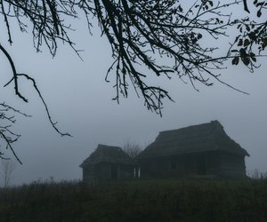 Alle Karin-Slaughter-Bücher gelesen? Diese 6 Thriller stillen deine Sehnsucht nach Gänsehaut!