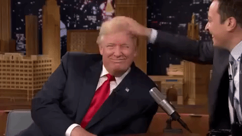 Lustige Frisuren Donald Trump Lustige Frisuren Donald Trump