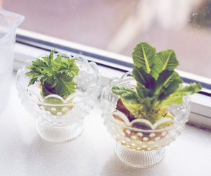 Regrowing: So einfach kannst du Gemüse im Wasserglas vermehren