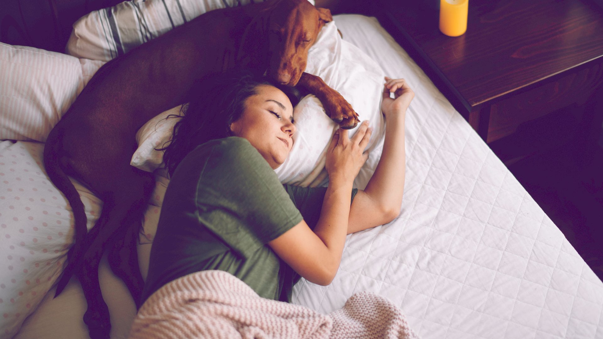 Laut-Psychologie-Was-es-ber-dich-aussagt-wenn-dein-Hund-mit-in-deinem-Bett-schl-ft