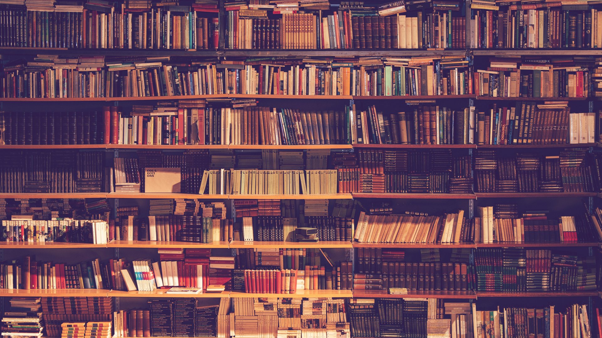 Du-liebst-Die-Mitternachtsbibliothek-Diese-B-cher-werden-dein-Herz-genauso-ber-hren