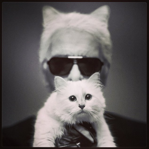 Karl Lagerfeld mit seiner Katze Choupette Karl Lagerfeld mit seiner Katze Choupette
