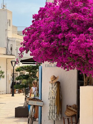 Sant Francesc