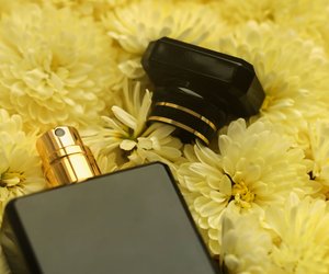 Moschus, Zedernholz und Tonkabohne: Dieses blumige Rossmann-Parfum riecht sinnlich