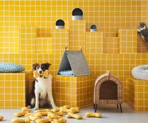 Tierliebe bei Ikea: Wir stellen die Haustierkollektion UTSÅDD vor