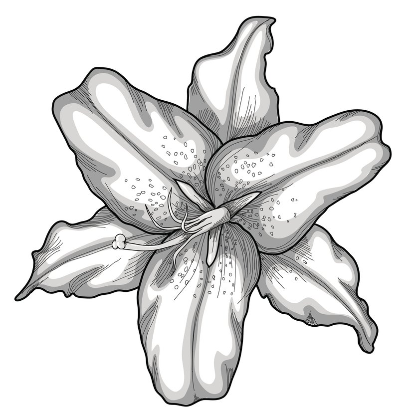 Blumen-Tattoo Vorlage 7