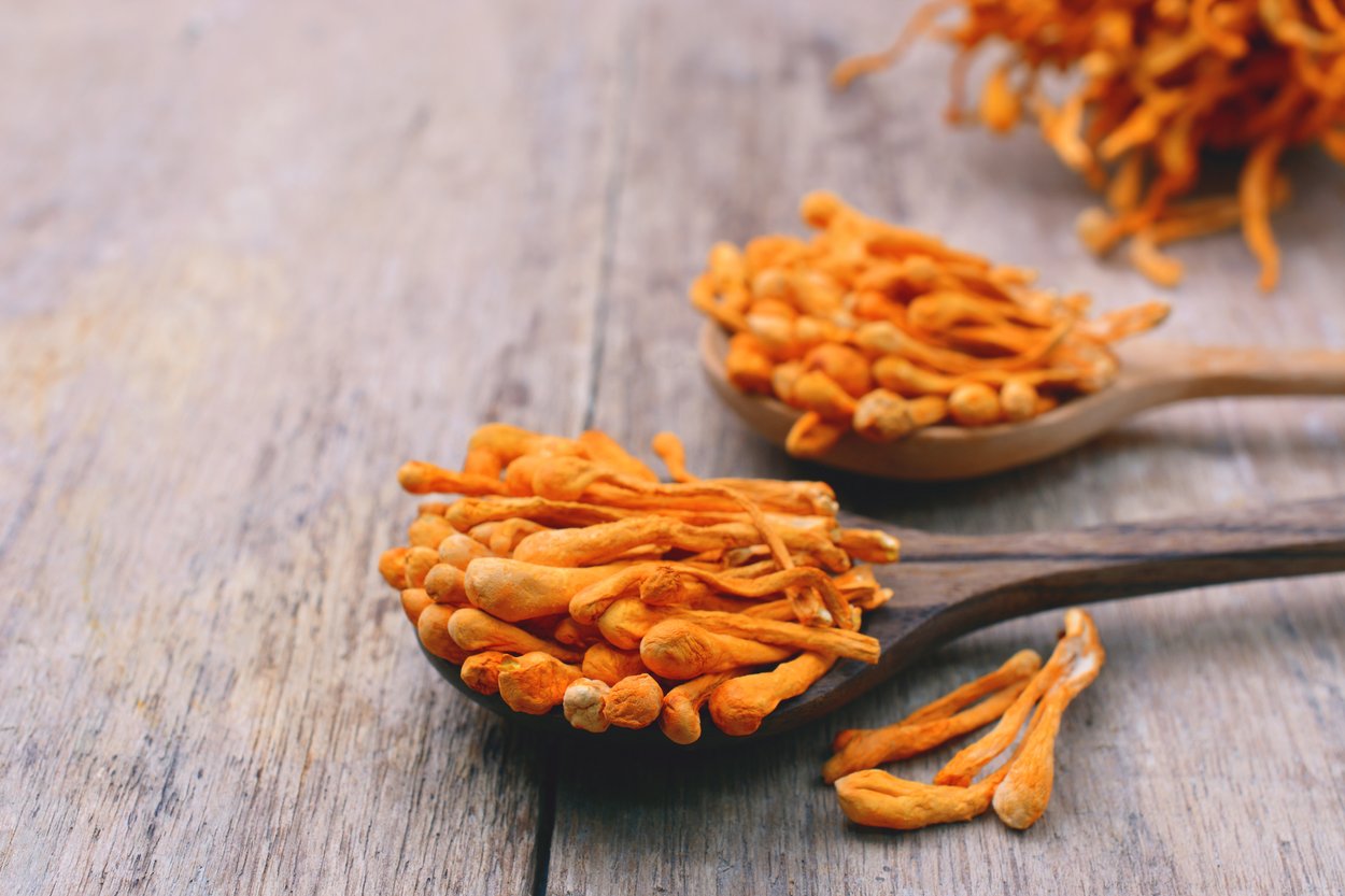 Cordyceps Chinesischer Raupenpilz Cordyceps Chinesischer Raupenpilz