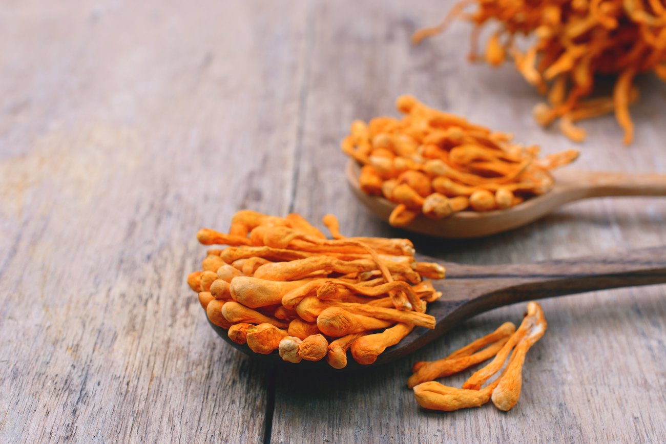 Cordyceps Chinesischer Raupenpilz Cordyceps Chinesischer Raupenpilz
