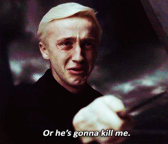 Draco steht unter Druck