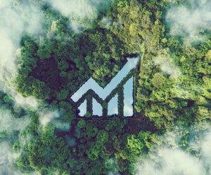Nachhaltige ETFs und Fonds: Die besten laut Stiftung Warentest