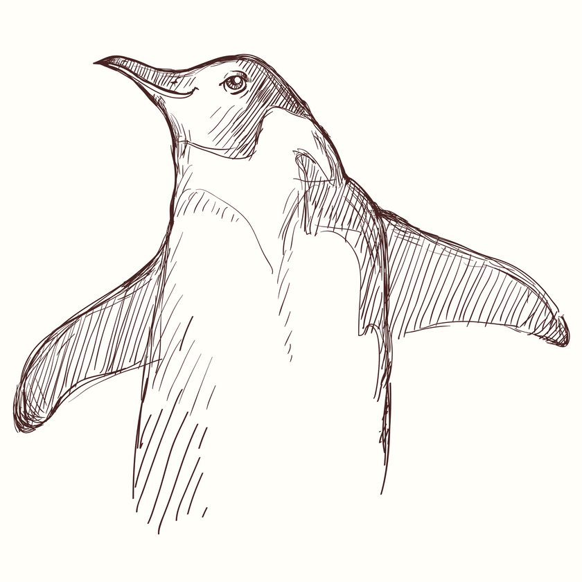 Pinguin-Tattoo Vorlage 15