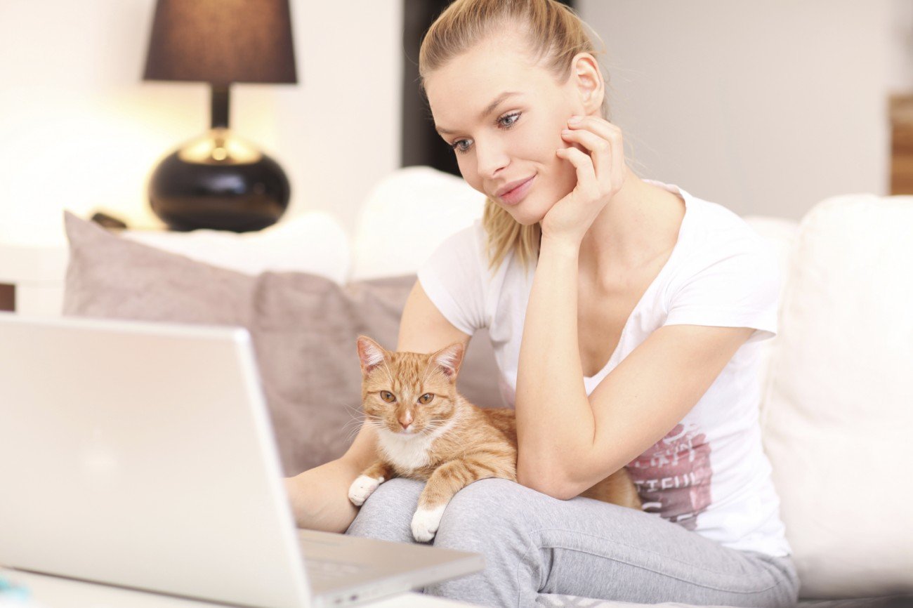 Katzenvideos schauen Katzenvideos schauen