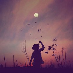 Der Erdbeermond am 11. Juni verändert unser Leben positiv – das erwartet dein Sternzeichen