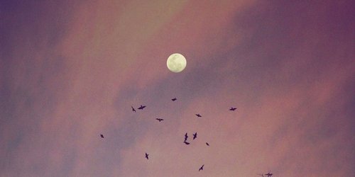 Erdbeermond am 11. Juni: Diese positive Veränderung bringt er für dein Sternzeichen