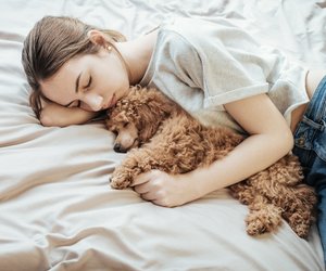 Frauen schlafen besser neben Hunden als neben ihren Männern!