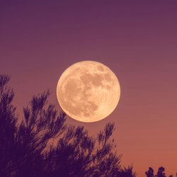 Der Vollmond am 10. Juli löst Krisen aus – was erwartet dein Sternzeichen?
