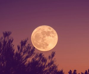 Der Vollmond am 10. Juli löst Krisen aus – was erwartet dein Sternzeichen?