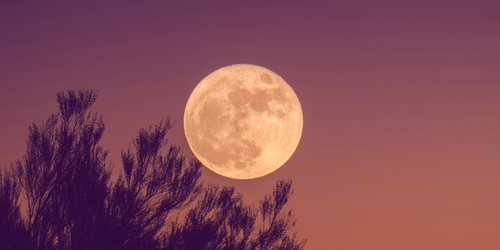 Der Vollmond am 10. Juli löst Krisen aus – was erwartet dein Sternzeichen?