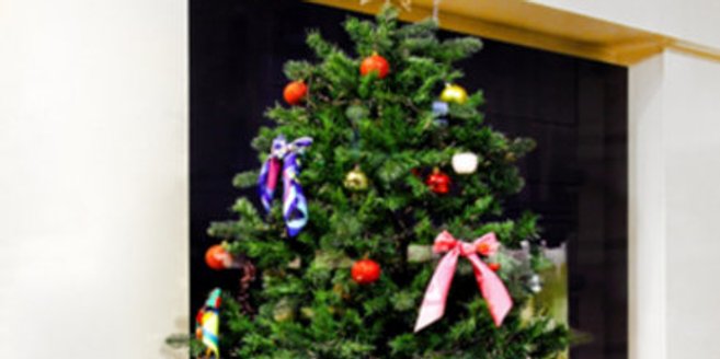 O Tannenbaum singen O Tannenbaum singen