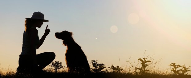 Diese Hunde lieben es, mit ihrem Menschen zu trainieren