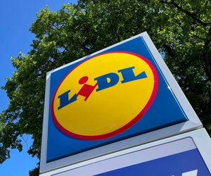 Lichtblick an grauen Tagen: Die Tageslichtleuchte von Lidl