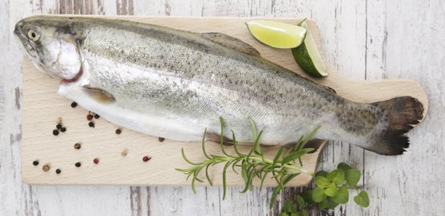 Fisch filetieren ist gar nicht schwer Fisch filetieren ist gar nicht schwer