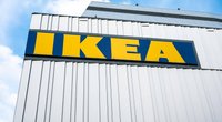 Spielspaß garantiert: Das Ikea-Spielzeug, das Hundeherzen höher schlagen lässt