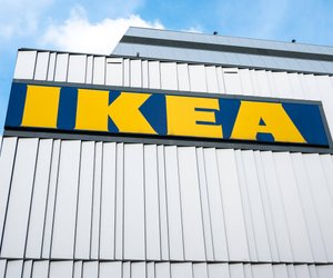 Pfoten hoch: Das Ikea-Spielzeug, das deinem Hund endlosen Spaß bringt