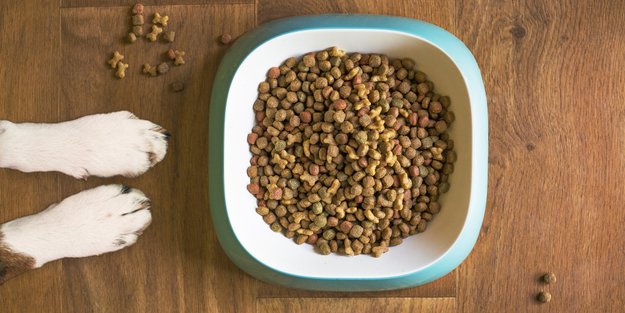 Ordnung am Futterplatz: Die rutschfeste Matte von Tchibo hält Näpfe sicher an Ort und Stelle