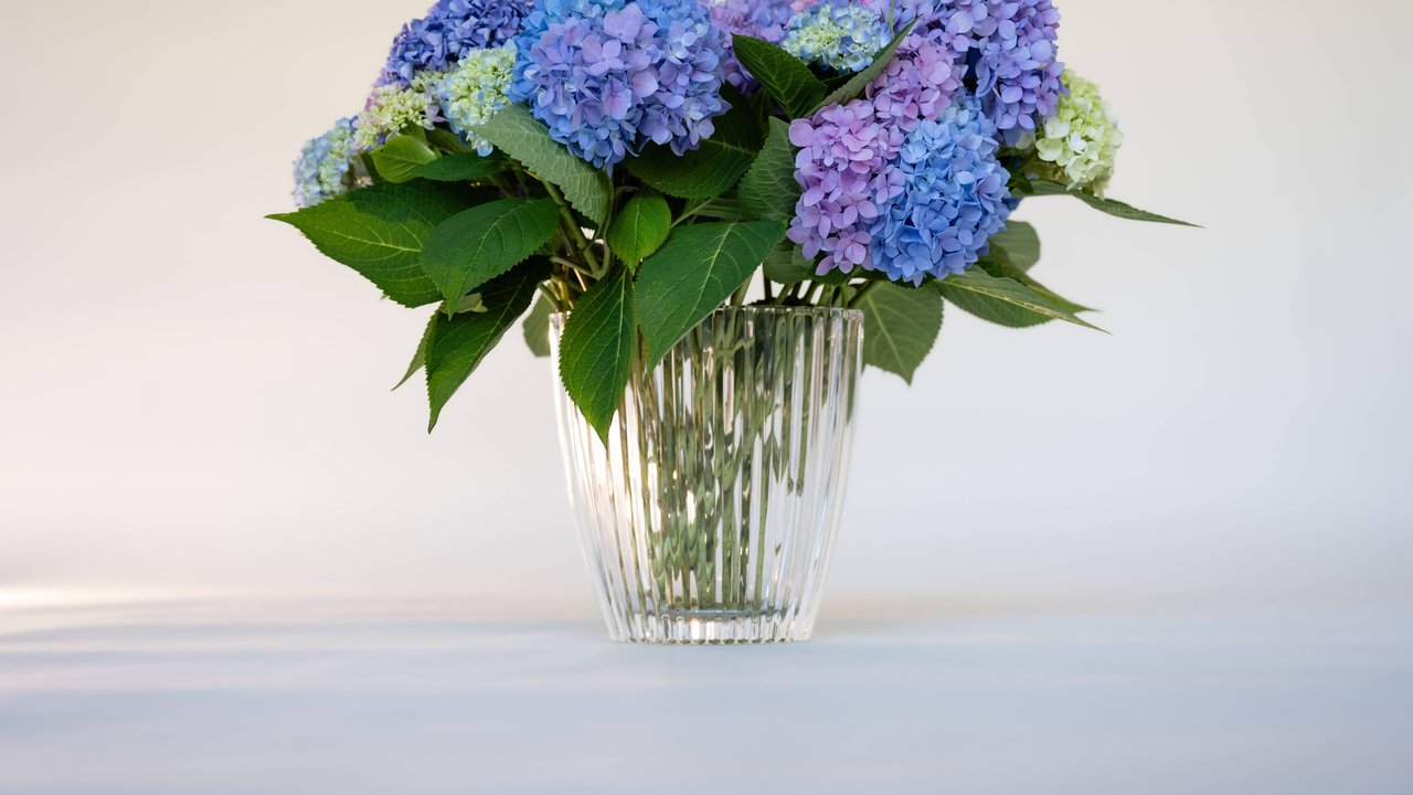 Blumenträume können äußerst vielfältig sein.