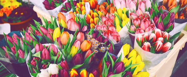Wunderschöne Tulpen-Vasen: Dieser Ikea-Hack schenkt jedem Raum Frühlingszauber